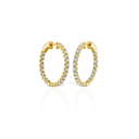 Scallop Hoops Gold